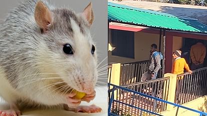 caha-na-maracara-ma-rakha-shava-katara_1702141408