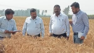 1744206968_जिलाधिकारी-ने-की-गेहू-की-क्रॉप-कटिंग.jpg