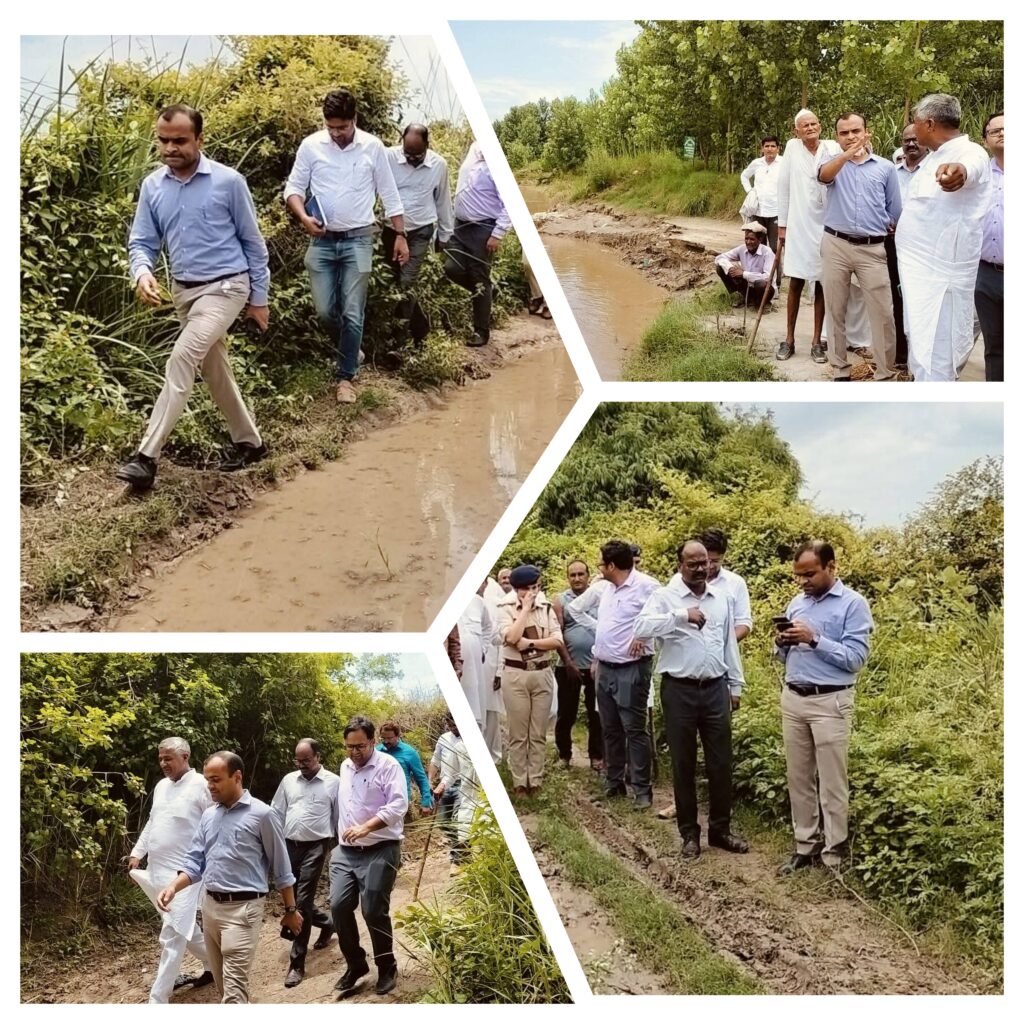 InCollage_20250701_193356991